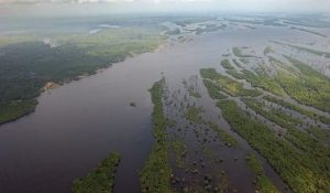 amazonia