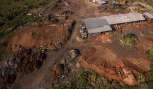 amazonia_deforestacion_1.jpg_258117318