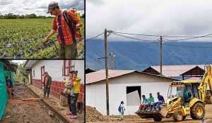 farc-territorio