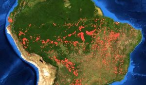 incendios amazonas