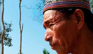 indigenas