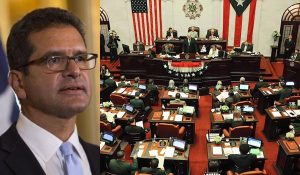 pierlusi-senado