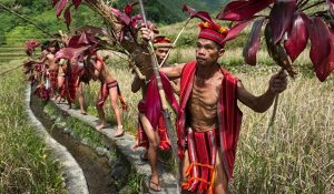 pueblos indigenas
