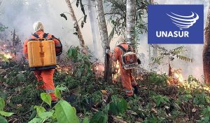 unasur