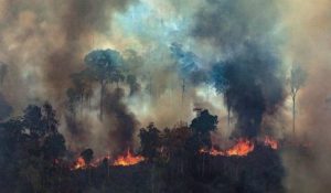 Foto: EPA Foto: EPA