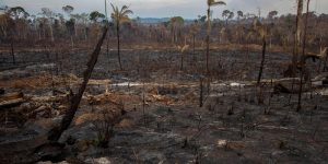 Joao Laet - AFP Joao Laet AFP