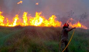 Paraguay emergencia ambiental incendio forestal