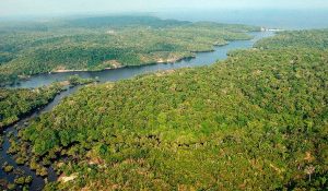 amazonia