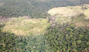 amazonia