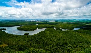amazonia ok