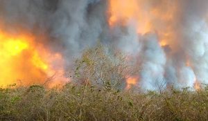 incendio Chaco paraguayo