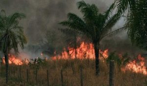 incendios chiquitania