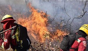 incendios forestales
