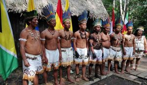 indigenas