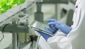 industria alimentaria tecnología