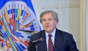 oea almagro