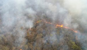 Chaco paraguayo incendio