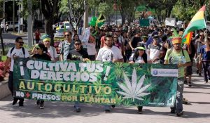 amlo mariguana