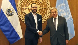 bukele-onu
