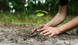 el-2019-un-ano-para-generar-conciencia-ecologica-14852
