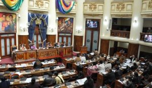 AsambleaBolivia (2)
