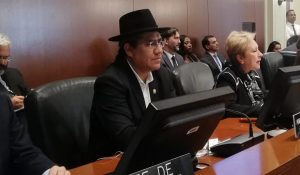 Diego Pary Bolivia OEA