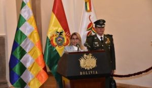 añez