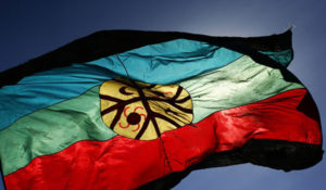 mapuche-2