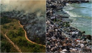 ecocidio-latam