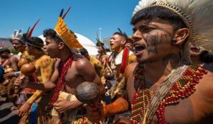 indigenas-brasil