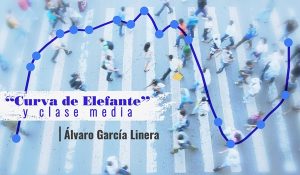 linera