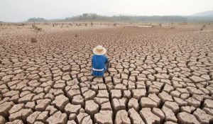 cambio climático
