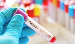 dengue