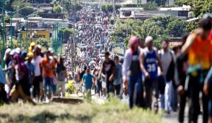 migracion