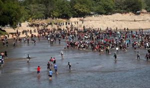 migracion