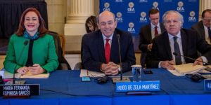 oea almagro espinosa de zela