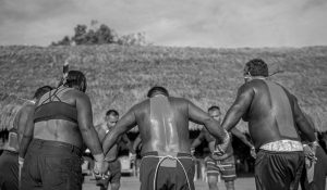 politica anti indigena
