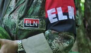 eln_55_1_0