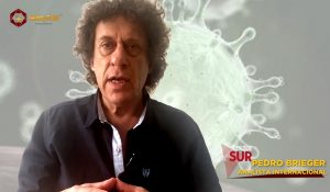 pedro coronavirus