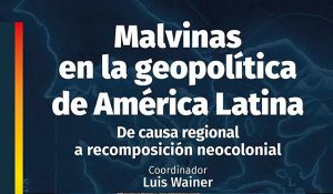 Capa do livro Malvinas simple