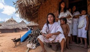 indigenas