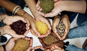 seguridad-alimentaria-47560