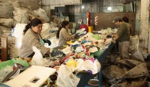 trabajo cooperativa