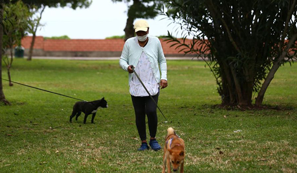 Se estima que hay casi medio millón de trabajadoras del hogar en el país. Menos de la mitad sigue laborando en la pandemia. (Hugo Curotto / GEC)