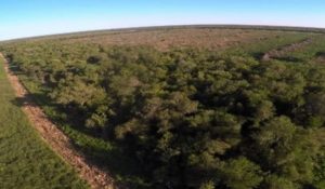 deforestacion paraguay