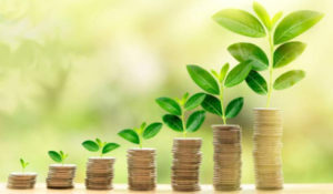 economía verde