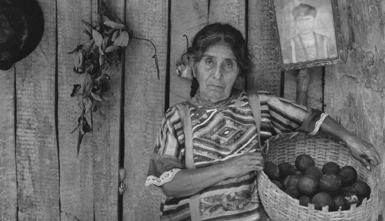Galería de fotos de la fotógrafa mexicana Flor Garduño - NODAL