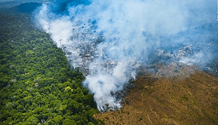 Amazônia: Desmatamento tem segunda maior cifra da série, diz Inpe