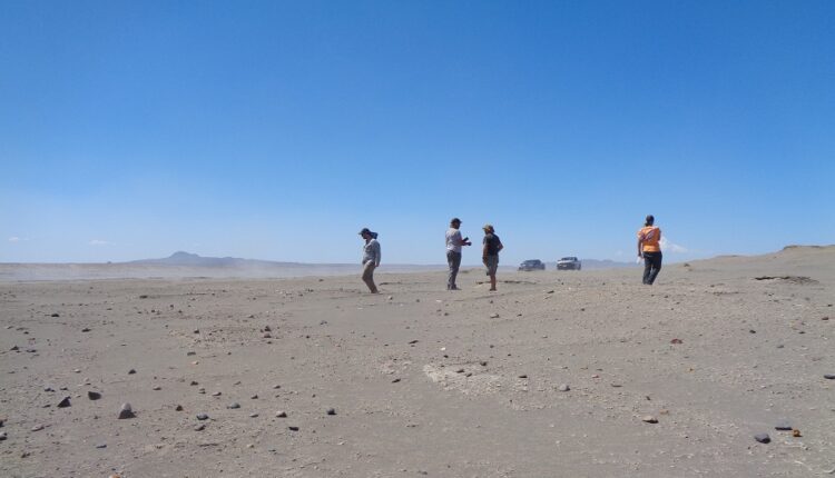 https://www.nodal.am/wp-content/uploads/2024/06/conicet-perro-chubut-750x430.jpg