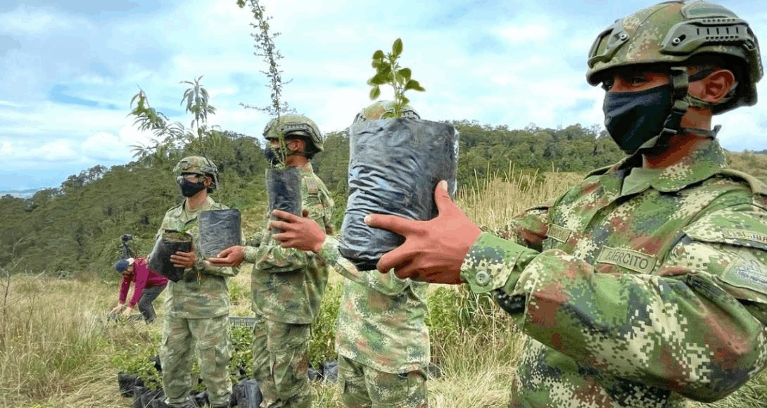 militarizar ecologia